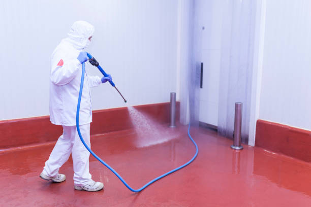Best Patio and Deck Pressure Washing  in Troy, AL